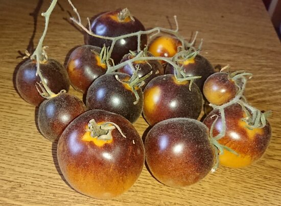 Ямали Синий (Yamali Blue, Бельгия)